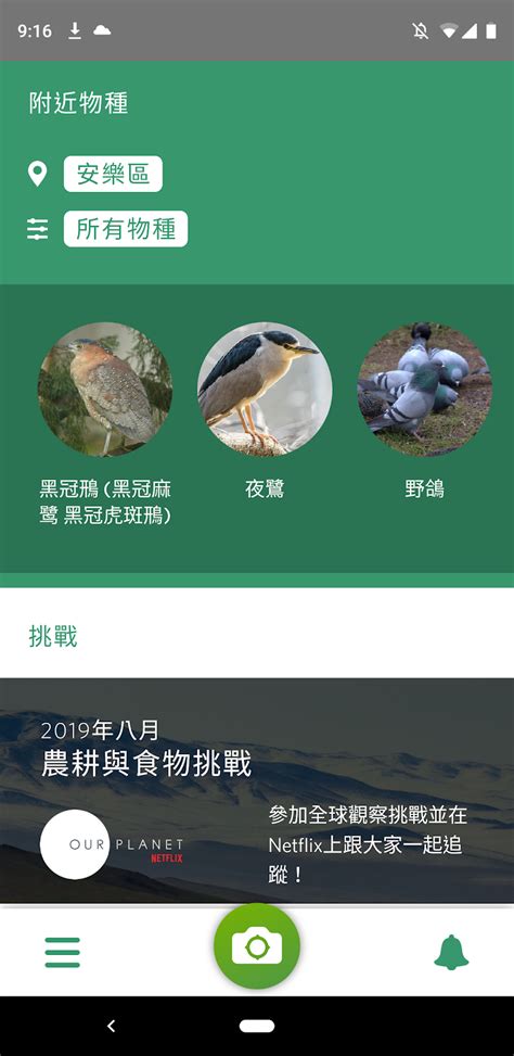 蟲類查詢|Seek 自然生物辨識 App 中文版，AI 偵測昆蟲、鳥類與。